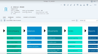 SAP Financial Consolidation: Package