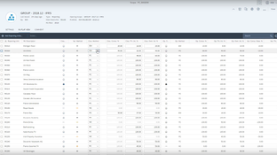 SAP Financial Consolidation: Reporting Units