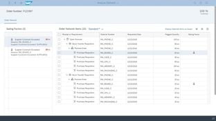 SAP Integrated Business Planning: Order Network Items