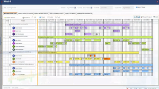 Saviom Enterprise Workforce Planning: Workforce Management Page