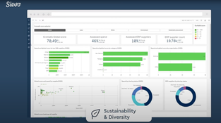 Sievo: Sustainability and Diversity