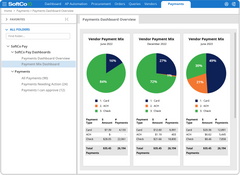 SoftCo AP Automation: Payments Dashboard Overview