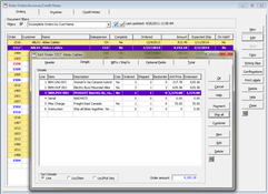 Adagio Accounting Software: Order Entry