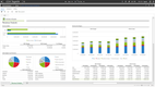 CCH Tagetik: Revenue Analysis