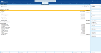 TallyPrime: Profit and Loss Report