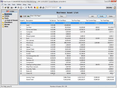 Fixed Assets CS: Business Asset List