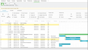 TimeLinx: TimeLinx Portfolio Gantt