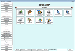 True ERP: Budgets