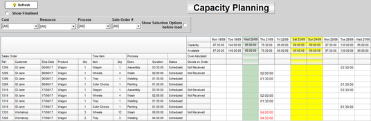 TrueERP: Capacity Planning