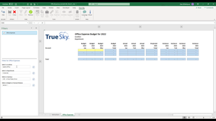 True Sky CPM: Office Expense Budget