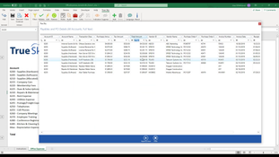 True Sky CPM: Payable Accounts Details