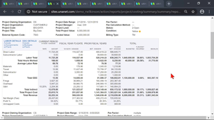 Unanet ERP GovCon: Labor Details