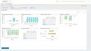 Unit4 ERP: Financial Analysis