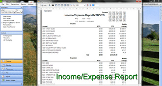 EasyFarm: Income Expense Report