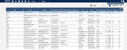 Visibility ERP: Reporting