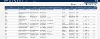 Visibility ERP: Reporting