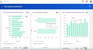 Workday HCM: Pay Equity Dashboard