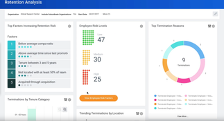 Workday HCM: Retention Analysis