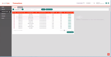 Worldpay Screenshot