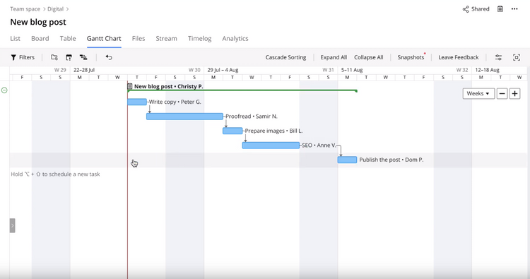 Wrike Gantt Chart Project Schedule