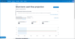 Xero: Short-Term Cash Flow Projection Page