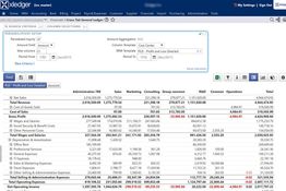 Xledger: Profit and Loss Detailed