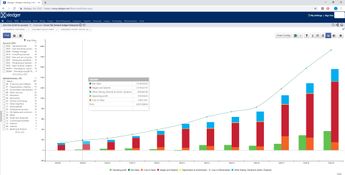 Xledger: Profit and Loss Flex Chart