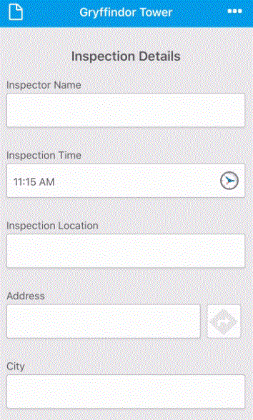 GoCanvas Inspection Details