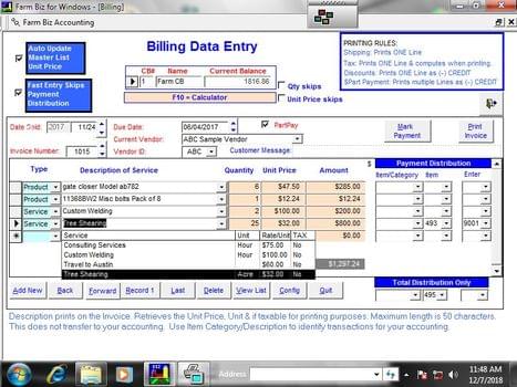 Biz Accounting Software