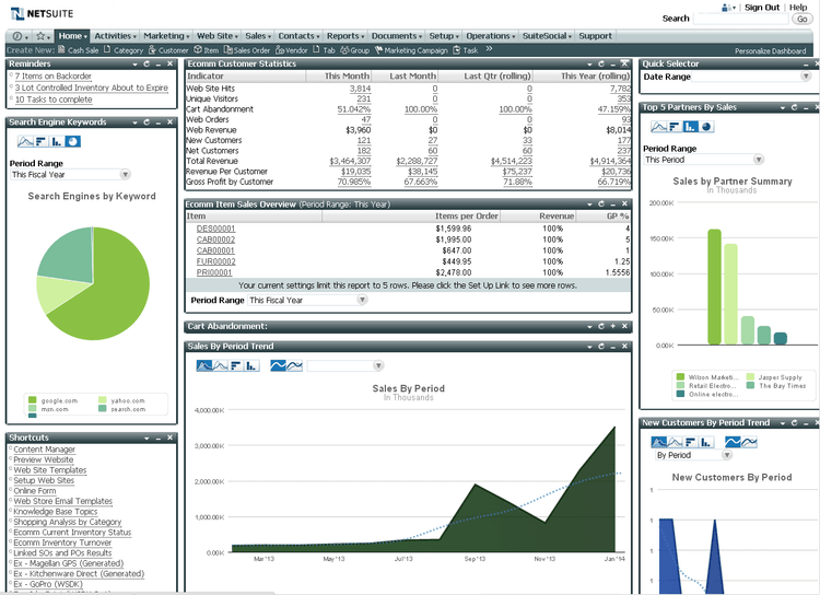 Oracle NetSuite ERP Ecommerce Customer Statistics
