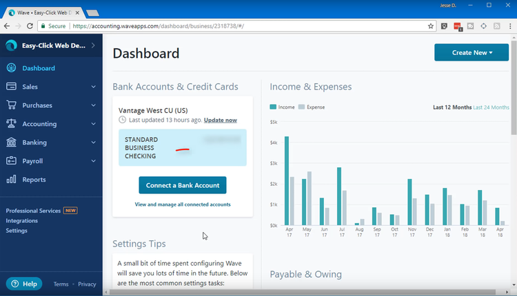 Wave Accounting Dashboard