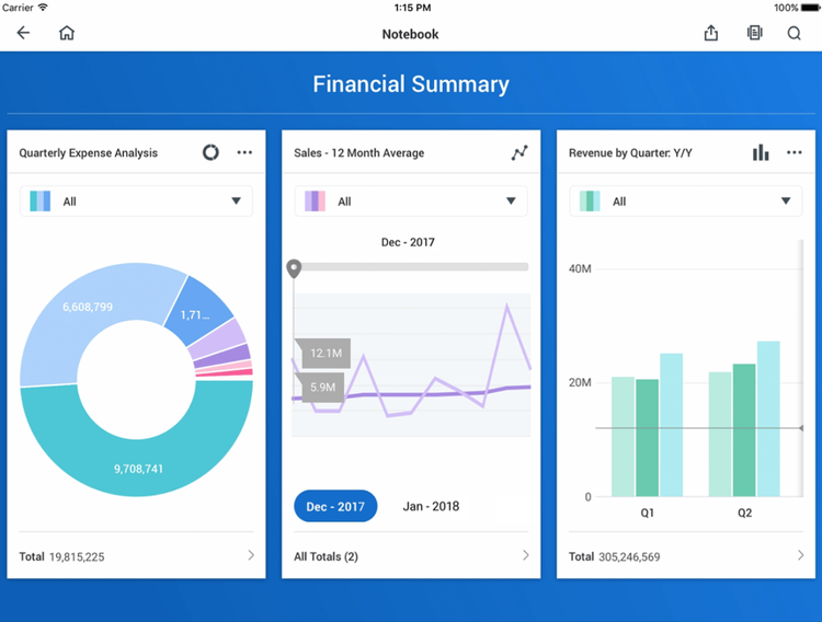 Workday Financial Summary